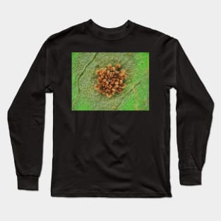 Fern sorus under the microscope Long Sleeve T-Shirt